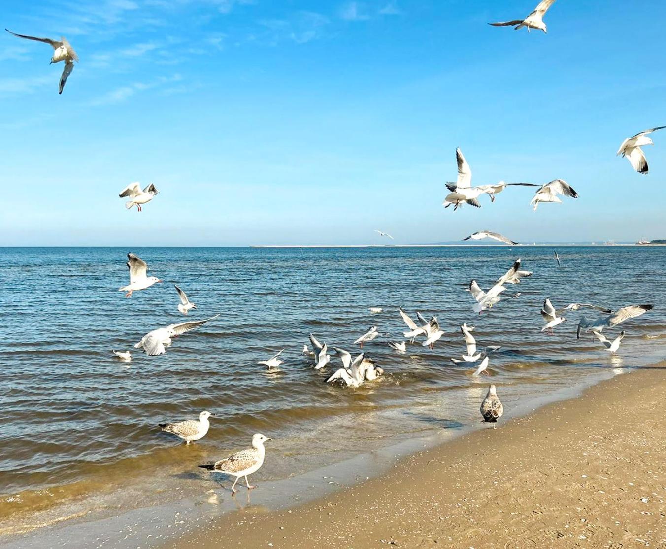 Visit Baltic - Rezydencja Sienkiewicza Rs1.07 Свіноуйсьце Екстер'єр фото